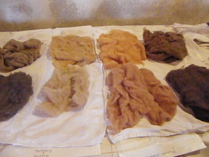 Résultats des teintures obtenues